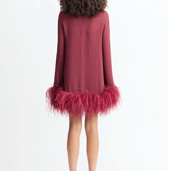 72. 16ARLINGTON Hodi Mini Dress Georgette Feather Mini BORGOGNA $1260 NWT Sz 2 - Picture 6 of 9